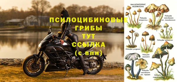 apvp Аркадак