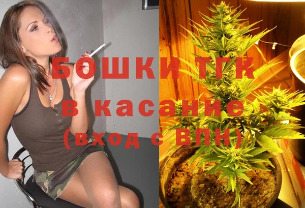 apvp Аркадак