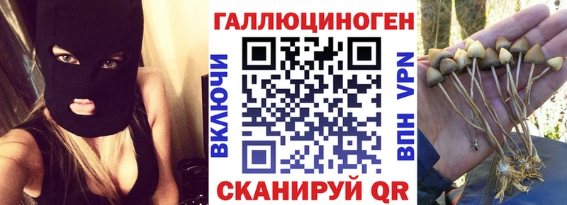 Псилоцибиновые грибы Magic Shrooms купить закладку Нурлат